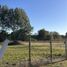  Land for sale in Nuble, Chillan, Diguillin, Nuble