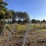  Land for sale in Nuble, Chillan, Diguillin, Nuble
