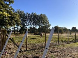  Land for sale in Nuble, Chillan, Diguillin, Nuble