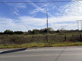  Land for sale in Nuble, Chillan, Diguillin, Nuble