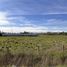  Land for rent in Diguillin Nuble, Chillan, Diguillin, Nuble
