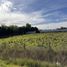  Land for rent in Nuble, Chillan, Diguillin, Nuble