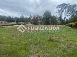  Land for sale in Llanquihue Los Lagos, Puerto Montt, Llanquihue, Los Lagos, Chile