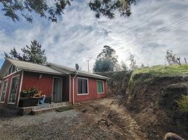  Terreno (Parcela) en venta en Cardenal Caro, Libertador General Bernardo O'Higgins, Navidad, Cardenal Caro