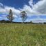  Land for sale in Chile, Llanquihue, Llanquihue, Los Lagos, Chile