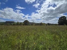  Land for sale in Chile, Llanquihue, Llanquihue, Los Lagos, Chile