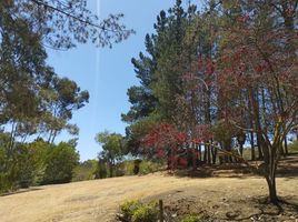  Terreno (Parcela) en venta en Chile, Algarrobo, San Antonio, Valparaíso, Chile