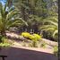  Terreno (Parcela) en venta en Chile, Algarrobo, San Antonio, Valparaíso, Chile