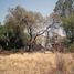  Land for rent in Atenco, Mexico, Atenco
