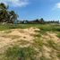  Land for sale in Petatlan, Guerrero, Petatlan