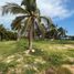  Land for sale in Petatlan, Guerrero, Petatlan