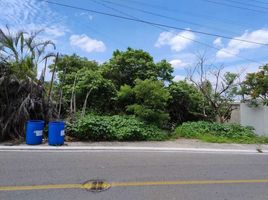  Land for sale in Miacatlan, Morelos, Miacatlan