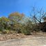  Land for sale in Miacatlan, Morelos, Miacatlan