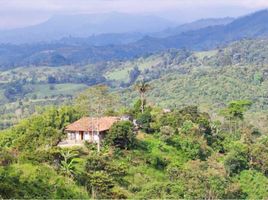 4 Bedroom Villa for sale in Salento, Quindio, Salento