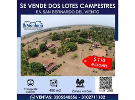  Land for sale in Monteria, Cordoba, Monteria