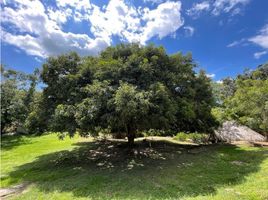  Terreno (Parcela) en venta en Nilo, Cundinamarca, Nilo