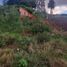  Land for sale in Patzcuaro, Michoacan, Patzcuaro