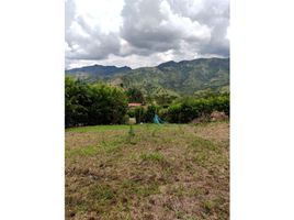  Terreno (Parcela) en venta en Pueblorrico, Antioquia, Pueblorrico