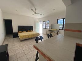 Estudio Apartamento en alquiler en Campeche, Carmen, Campeche
