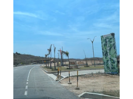  Land for sale in Tubara, Atlantico, Tubara