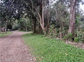  Land for sale in Caldera, Boquete, Caldera