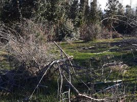  Terreno (Parcela) en venta en Chile, Portezuelo, Itata, Ñuble, Chile