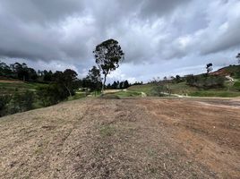  Land for sale in Rionegro, Antioquia, Rionegro