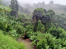 Estudio Casa en venta en Colombia, Manizales, Caldas, Colombia