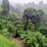 Studio Villa zu verkaufen in Manizales, Caldas, Manizales, Caldas