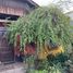 3 Bedroom House for sale in Cordillera, Santiago, Puente Alto, Cordillera
