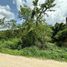  Terreno (Parcela) en venta en Uman, Yucatán, Uman