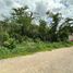  Terreno (Parcela) en venta en Uman, Yucatán, Uman