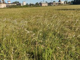  Terreno (Parcela) en venta en San Lorenzo, Santa Fe, San Lorenzo