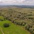  Land for sale in Balzar, Guayas, Balzar, Balzar