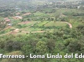  Terreno (Parcela) en venta en Santa Elena, Manglaralto, Santa Elena, Santa Elena