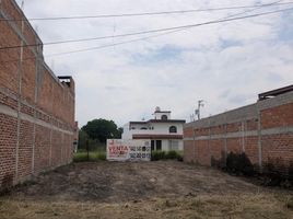  Grundstück zu verkaufen in Apaseo El Grande, Guanajuato, Apaseo El Grande