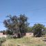  Land for sale in Tonala, Jalisco, Tonala