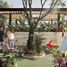 2 Bedroom Apartment for sale in Conkal, Yucatan, Conkal