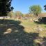  Land for sale in Tepoztlan, Morelos, Tepoztlan