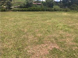  Land for sale in Sabaneta, Antioquia, Sabaneta