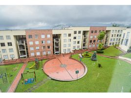 Maison 5 chambre à vendre à Manizales, Caldas, Manizales