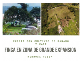 3 Habitación Villa en venta en Calarca, Quindio, Calarca