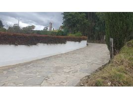  Terreno (Parcela) en venta en Paipa, Boyaca, Paipa