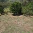  Land for sale in Ibague, Tolima, Ibague