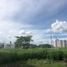  Land for sale in Monteria, Cordoba, Monteria