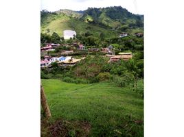  Land for sale in Pereira, Risaralda, Pereira