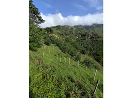  Terreno (Parcela) en venta en Retiro, Antioquia, Retiro