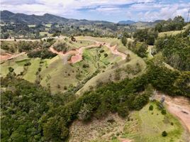  Grundstück zu verkaufen in Retiro, Antioquia, Retiro