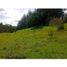Terrain à vendre à Rionegro, Antioquia, Rionegro, Antioquia