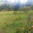 Terrain à vendre à Rionegro, Antioquia, Rionegro, Antioquia